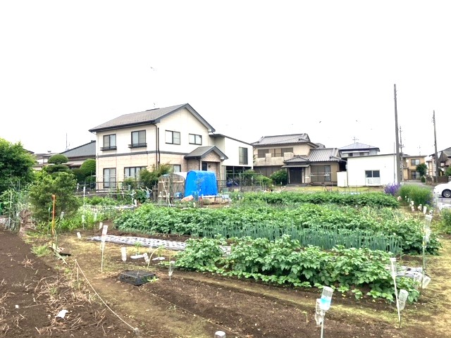 nynʐ^ nʐ^