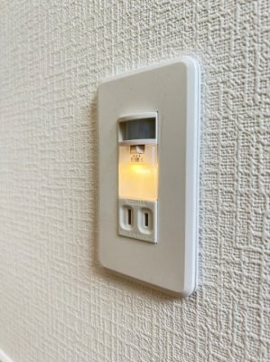 その他 フットライト（写真は同仕様写真）