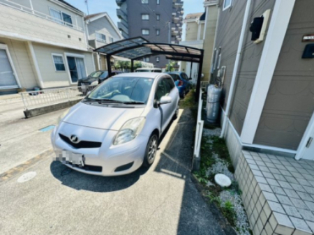  nʐ^