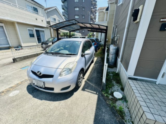  nʐ^
