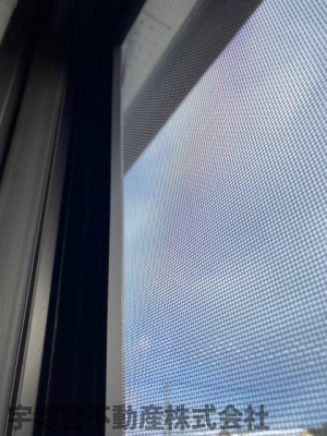 ̑ Ԍˁiʐ^͓dlʐ^j