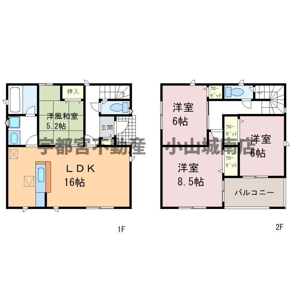  J̓SȍLXCi[oRj[Bڂłˁ