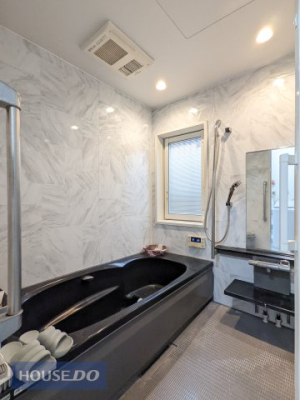  2013NEtH[ς݁Iȍ̗ł