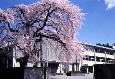 ӊ ywZzFs{sۏwZ܂969