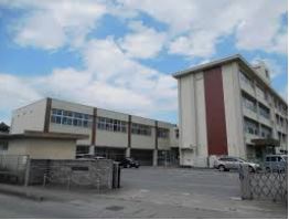 ӊ ywZzFs{sRwZ܂4669