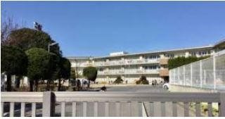 ӊ ywZzÉ͎sÉ͑ZwZ܂377