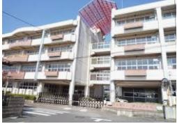 ӊ ywZzFs{sxmwZ܂464