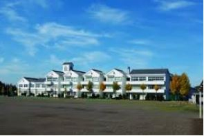 ӊ ywZzs铌wZ܂1517