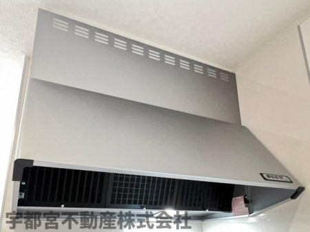 ���̑� �����W�t�[�h�i�ʐ^�͓��d�l�ʐ^�j