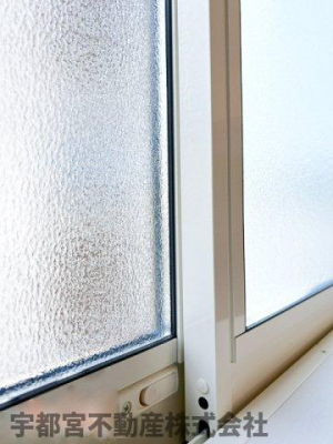 ���̑� �_�u�����b�N�T�b�V�i�ʐ^�͓��d�l�ʐ^�j