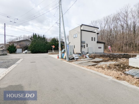 ���̑� ���n�ʐ^