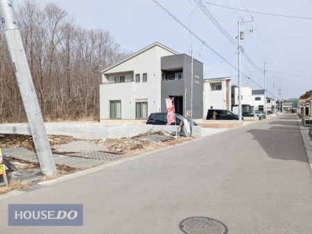 ���̑� ���n�ʐ^