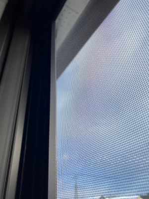 ���̑� �Ԍˁi�ʐ^�͓��d�l�ʐ^�j