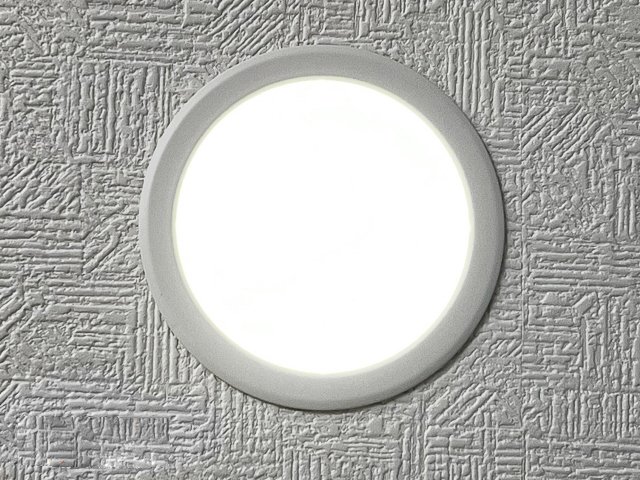 ���̑� LED�_�E�����C�g�i�ʐ^�͓��d�l�ʐ^�j