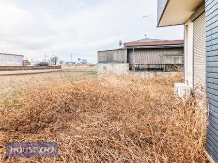 ���̑� ��