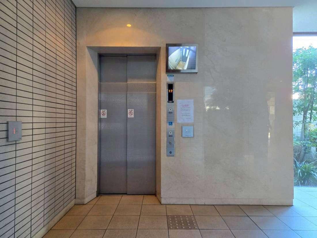 ���̑� ���p����