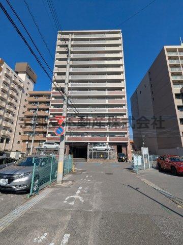 ���̑� ���̑�