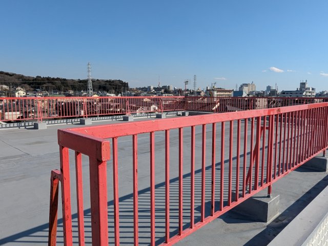 �o���R�j�[ ����o���R�j�[�B