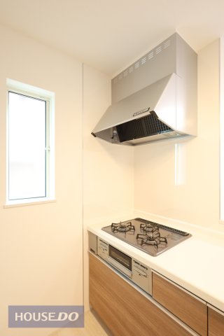 ���̑����� ���n�����ʐ^