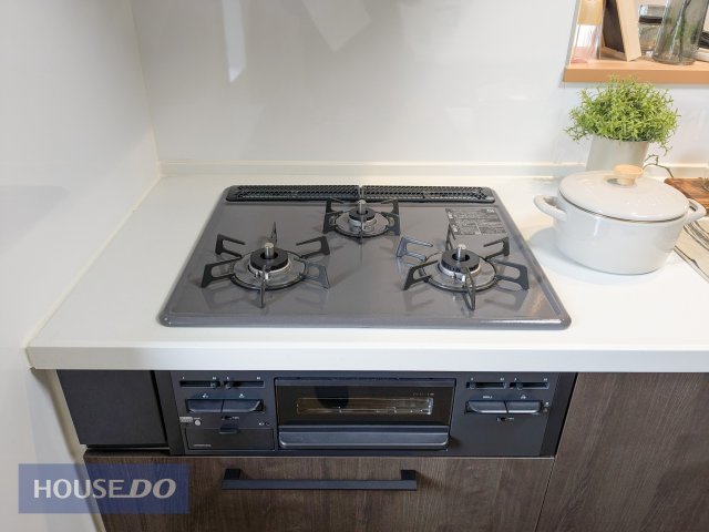 ���̑����� �y�R�����z���n�����ʐ^�B