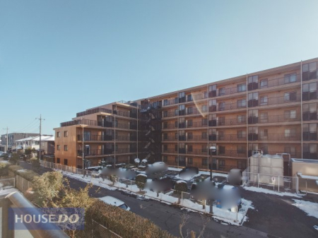 ���̑� �W�]