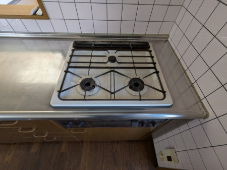 ���̑� ���n�ʐ^