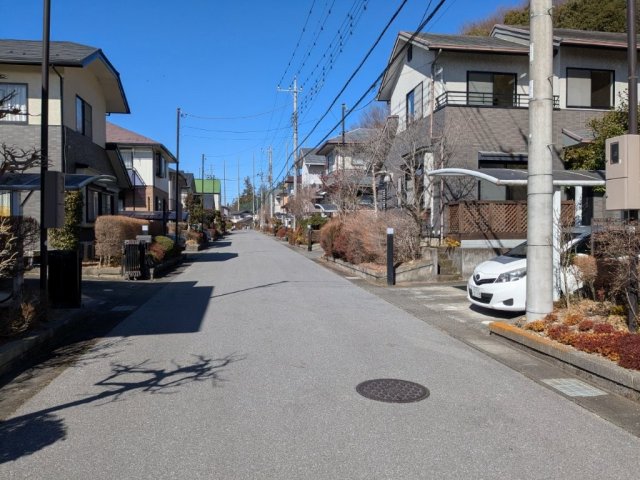 ���̑� ���Ԃ�؂�Ԃ����y�X�U�����H�ł���