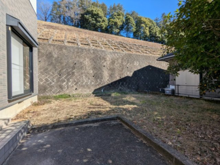 ���̑� ��