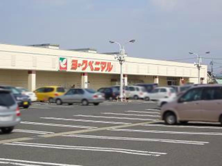 ���ӊ� �y�X�[�p�[�z���[�N�x�j�}�� �ᏼ���X�܂�2163��