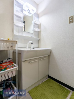 ���ʑ�E���ʏ� �V�����[�t���̓Ɨ����ʑ�ł��� �V�����[�w�b�h��L�΂��ƁA���ʃ{�E���̋��X�܂Ő����͂����߁A ���̖т�A���������Ɨ����āA��ɐ����ȏ�Ԃ�ۂĂ܂��B 