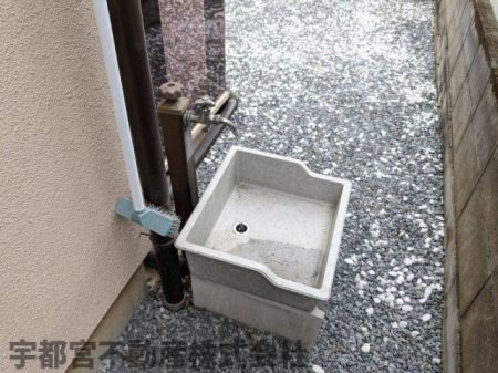 ���̑� ���̑�