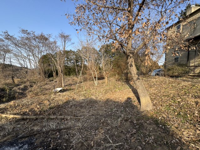 ���̑� ��