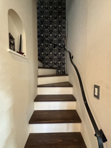 ���̑����� -