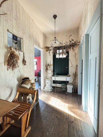 ���̑����� -