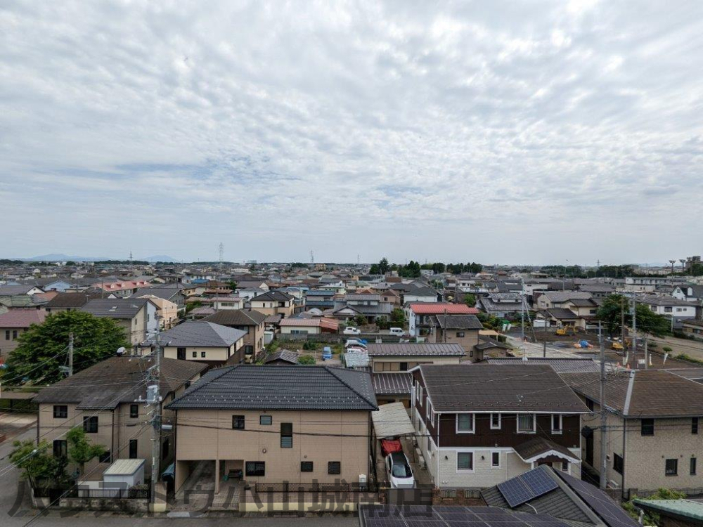 ���̑� ���n�ʐ^